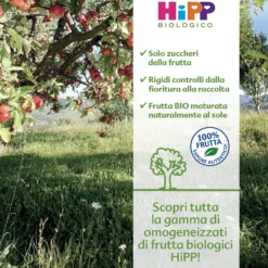 Omogeneizzato Frutta Mista Multipack: Confezione 6x80 gr