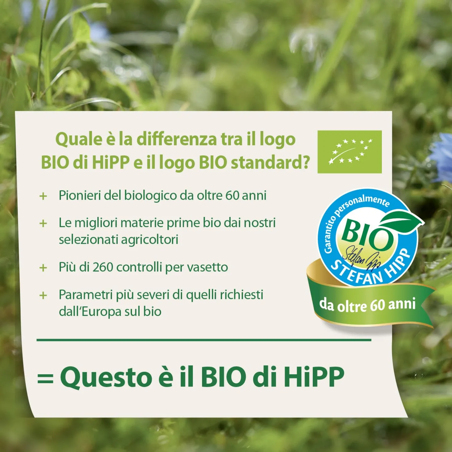 Omogeneizzato Legumi Piselli: Confezione 2x80 gr