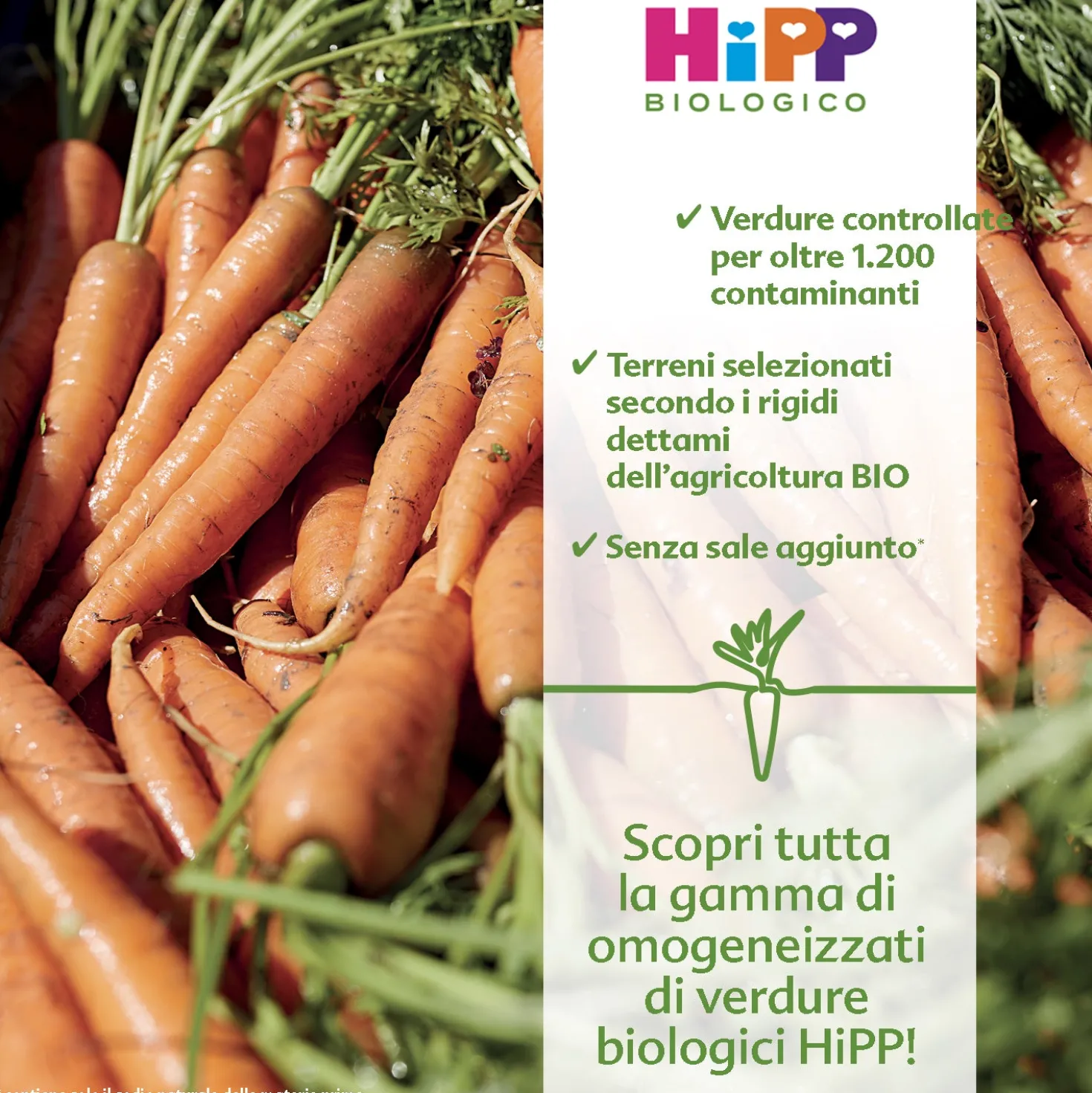 Omogeneizzato Legumi Piselli: Confezione 2x80 gr