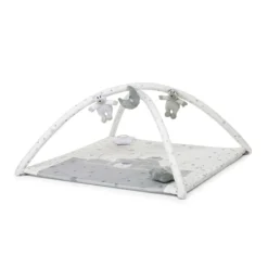 Palestrina Trainer (Copy )