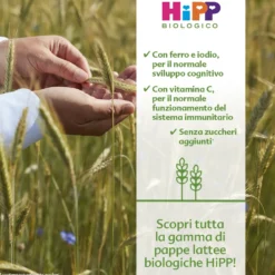 Pappa Lattea Frutta Mista: Confezione 250 gr