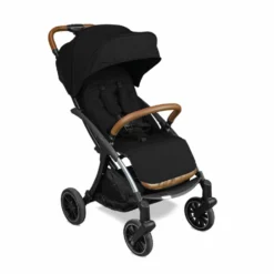 Passeggino Wizard E